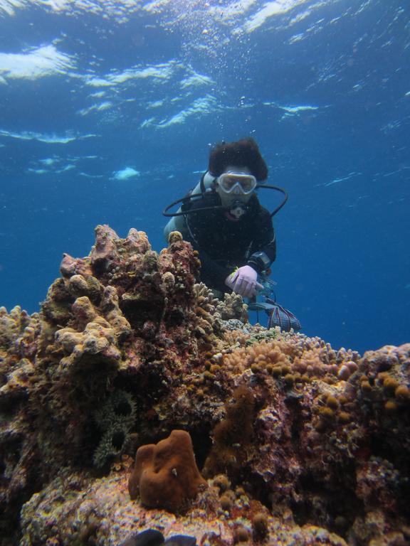 Nusantara Diving Centre Resort & Spa Manado Bagian luar foto